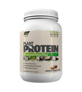 Plant Protein 673g