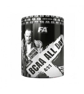 BCAA All Day 4:1:1 450g