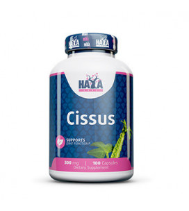Cissus Extract 500mg 100cps