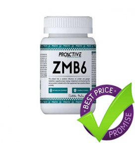 ProActive ZMB6 90tab