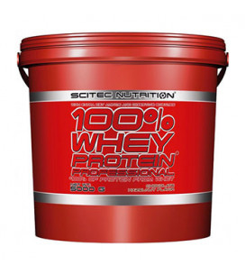 Whey Protein Professional 5kg