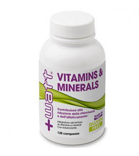 Vitamins & Minerals 120cps