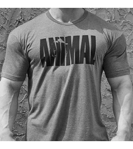 Animal Iconic T-Shirt Grey