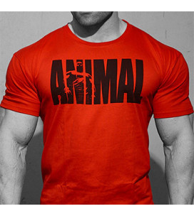 Animal Iconic T-Shirt Rossa