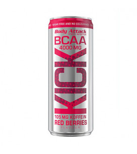 Bcaa Kick 330ml