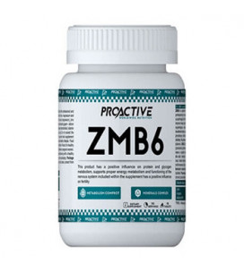 ProActive ZMB6 90tab