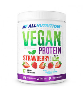 Vegan Protein 500g