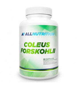 Coleus Forskohli 90 cps